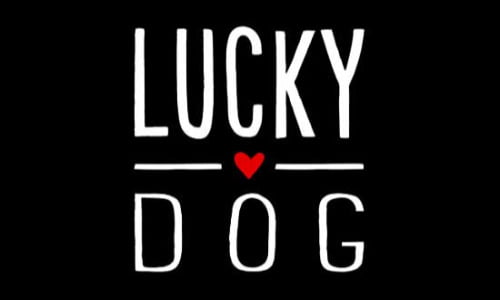 Lucky Dog Logo