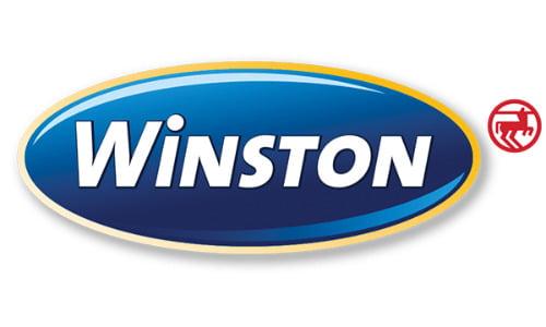 Winston Logo
