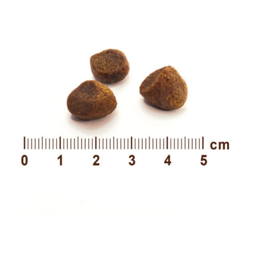 Romeo Wild Roots Huhn & Pute