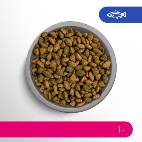 Perfect Fit Sterile 1+ Lachs