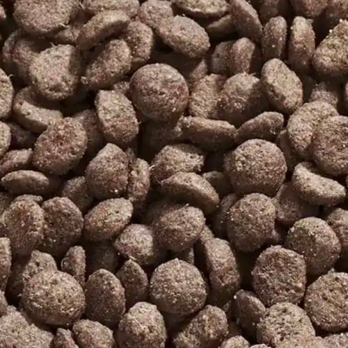 Vet-Concept CAT Intestinal Low Fat