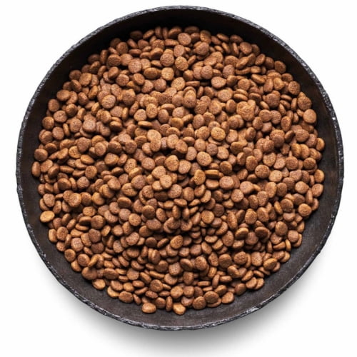 Pets Deli Classic Adult Forelle & Nordseelachs
