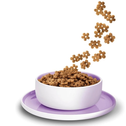 KITTY Cat Sensible Ente