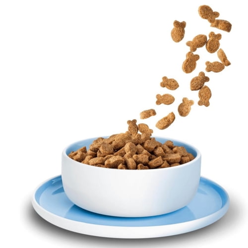 KITTY Cat Adult Fisch