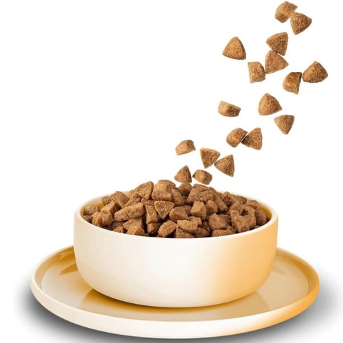 KITTY Cat Adult Huhn