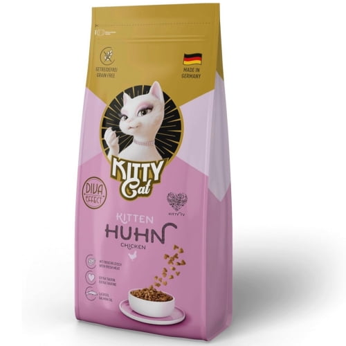KITTY Cat Kitten Huhn