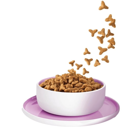 KITTY Cat Sterilised Truthahn