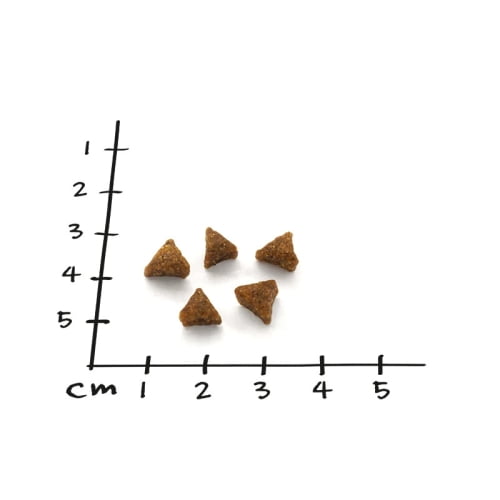 NutriQM Nutriness Kitten