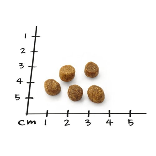 NutriQM Nutriness Adult Huhn
