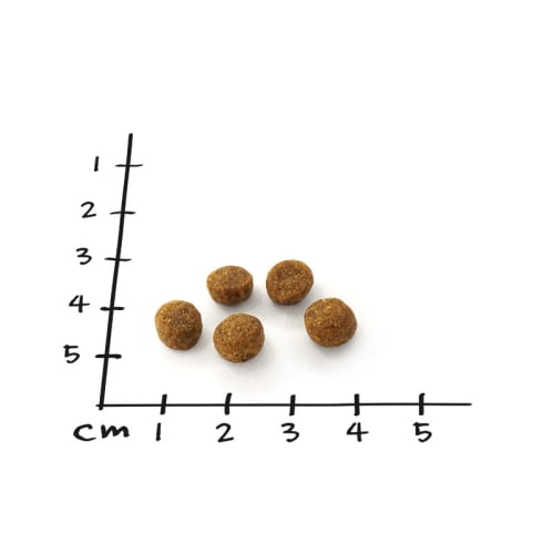 NutriQM Nutriness Adult Lachs