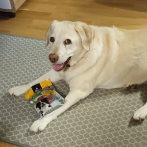Profilbild