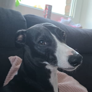 Profilbild