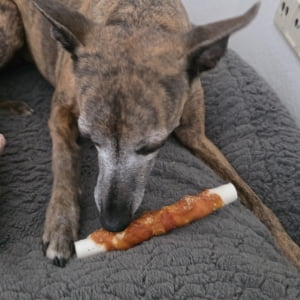 Profilbild